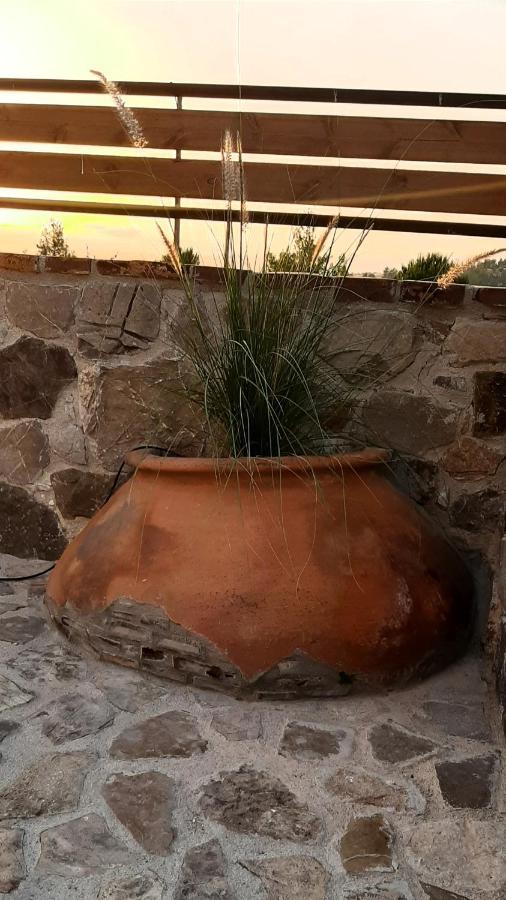 Savvas Brian Mountain House In Paphos Villa Pendalia Dış mekan fotoğraf