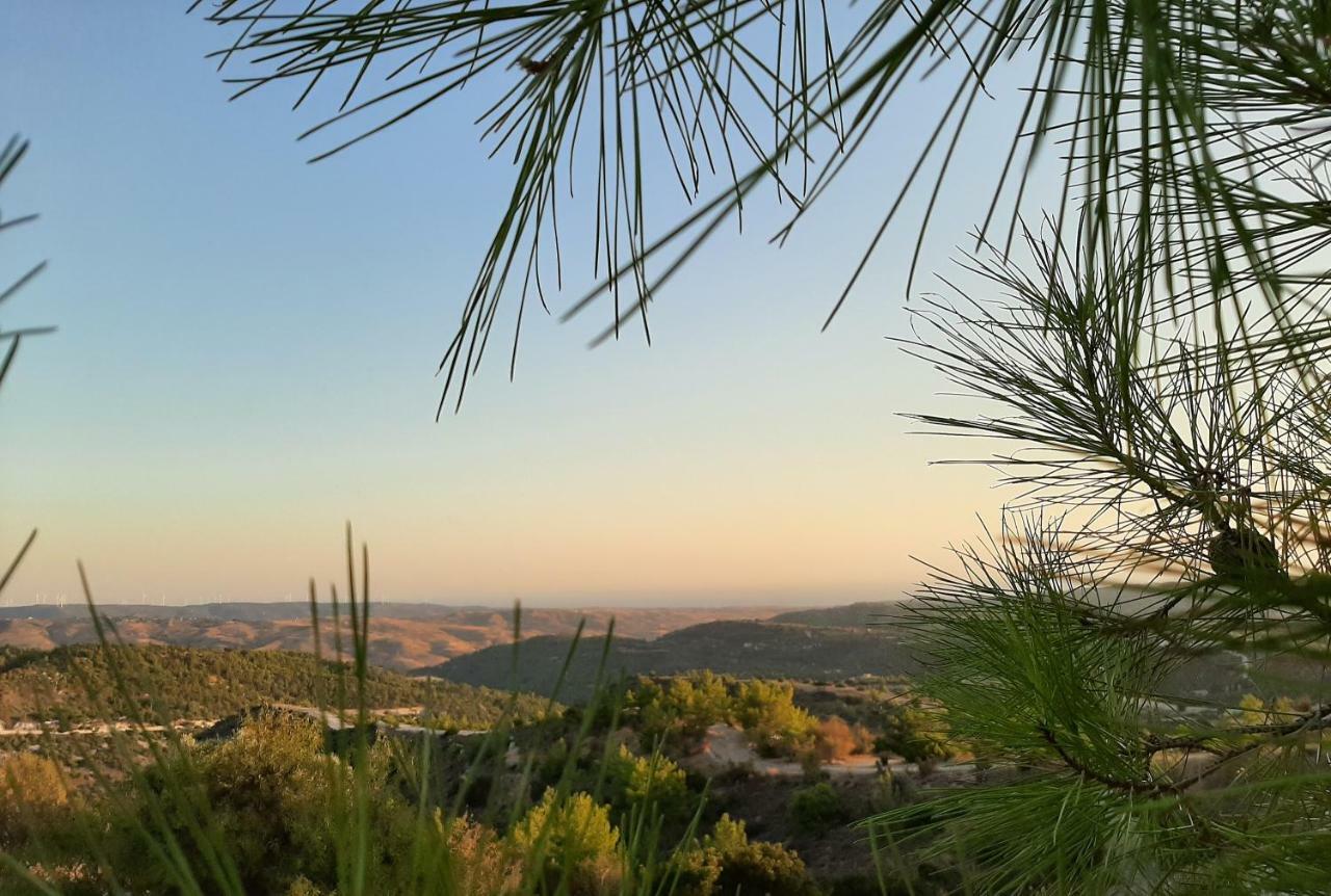 Savvas Brian Mountain House In Paphos Villa Pendalia Dış mekan fotoğraf